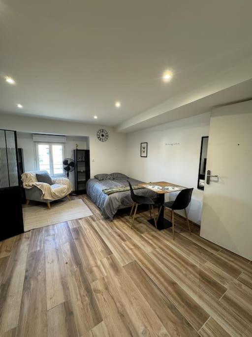 Joli Studio En Rez-De-Chaussee Saint Gaudens Bagian luar foto
