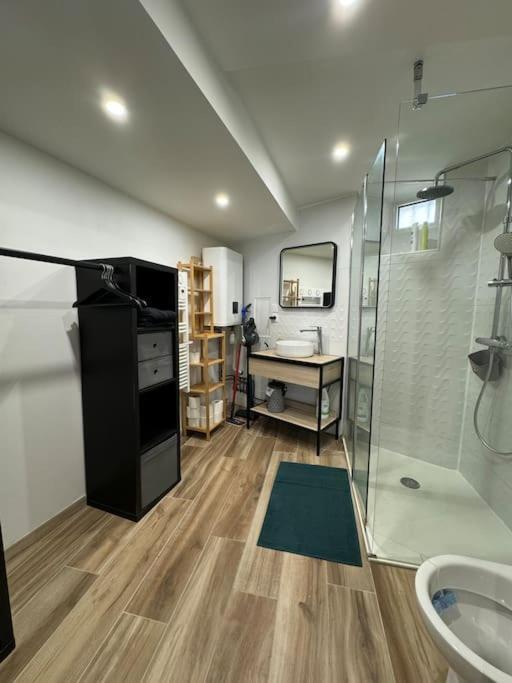 Joli Studio En Rez-De-Chaussee Saint Gaudens Bagian luar foto